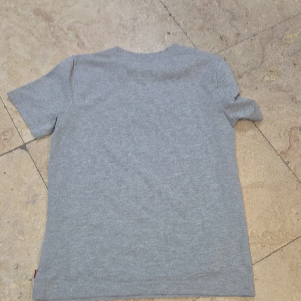 Levi's Light Gray Tee with Multicolor Mountain Bear Graphic